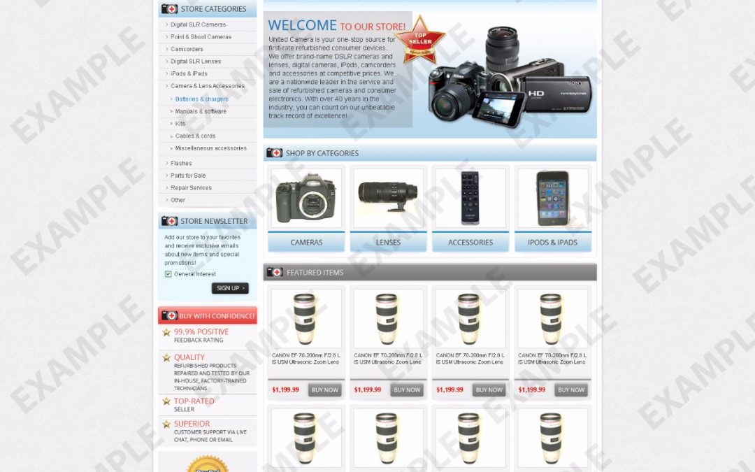 Avavee eBay Store Design (Computers, Electronics & Cameras Theme 1212)