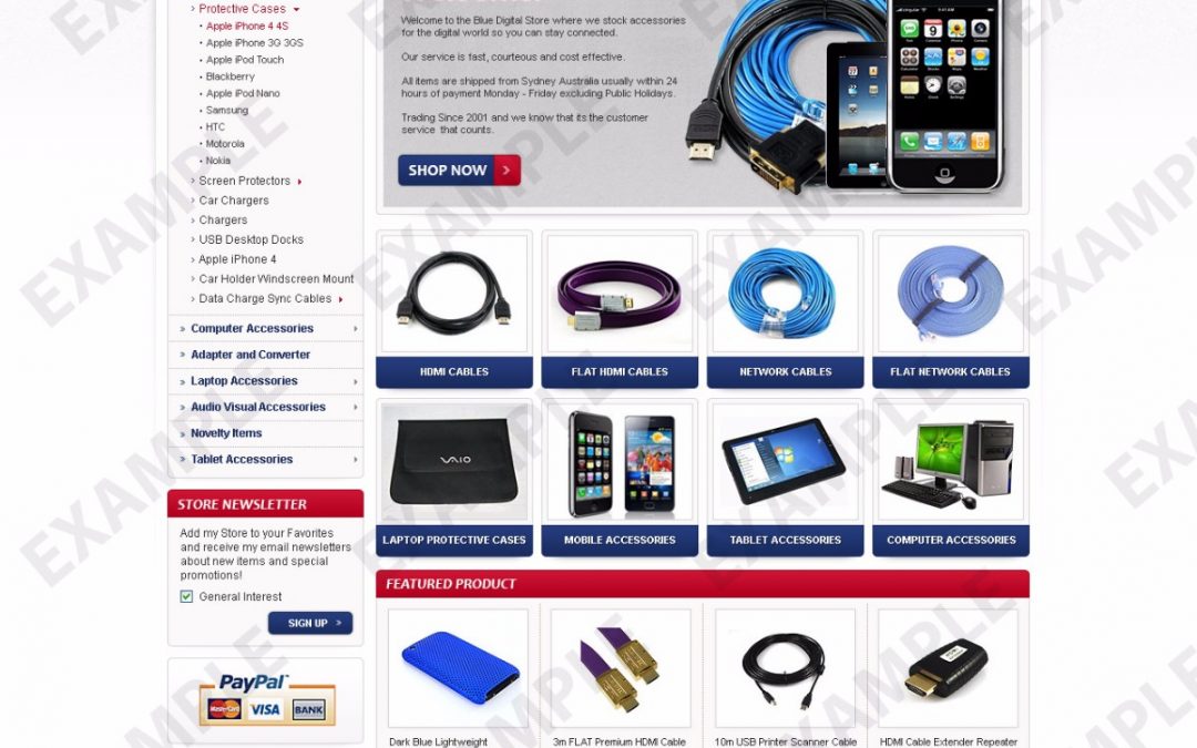 Fivedrive eBay Store Design (Computers, Electronics & Cameras Theme 1243)