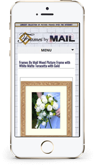 Portfolio Frames by Mail custom eBay design mobile