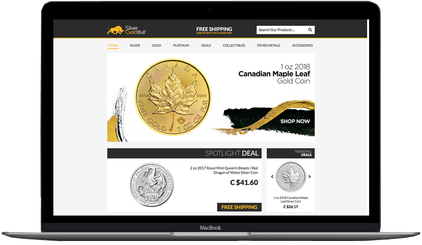 Portfolio silver