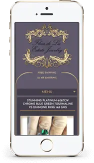 Fleur de Lis store on a phone