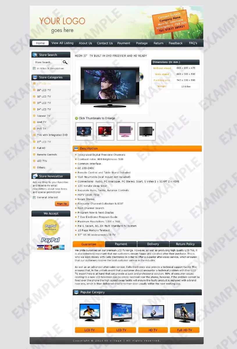 Tagspan premade eBay listing template #1257 for electronics & cameras